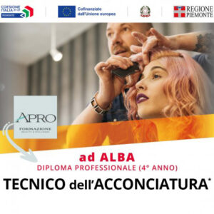 Tecnico dell'Acconciatura