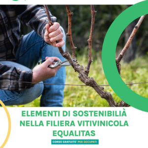 ELEMENTI DI SOSTENIBILITÀ NELLA FILIERA VITIVINICOLA - EQUALITAS